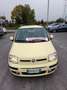 Fiat Panda Panda 1.2 Dynamic Gpl Meccanica RIPRISTINATA Giallo - thumbnail 1