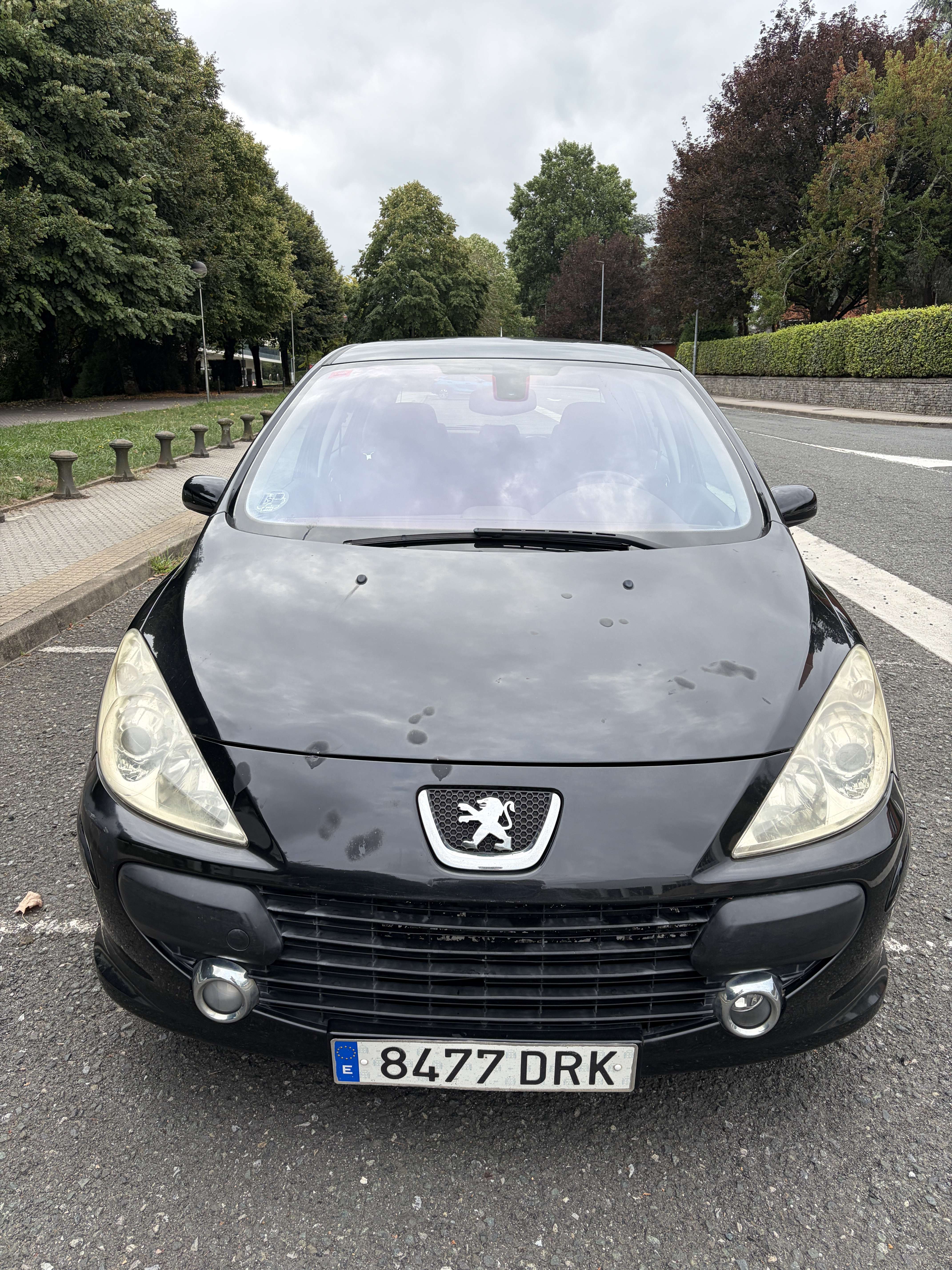 Peugeot 307 1.6i XS - foto 1