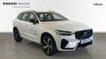 Volvo XC60 T6 RECHARG PLUS DARK E 2.0 350CV PLUG IN HYBRID E/ Blanc - thumbnail 6