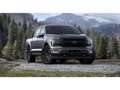 Ford F 150 Supercrew Lariat Black Package Grey - thumbnail 2