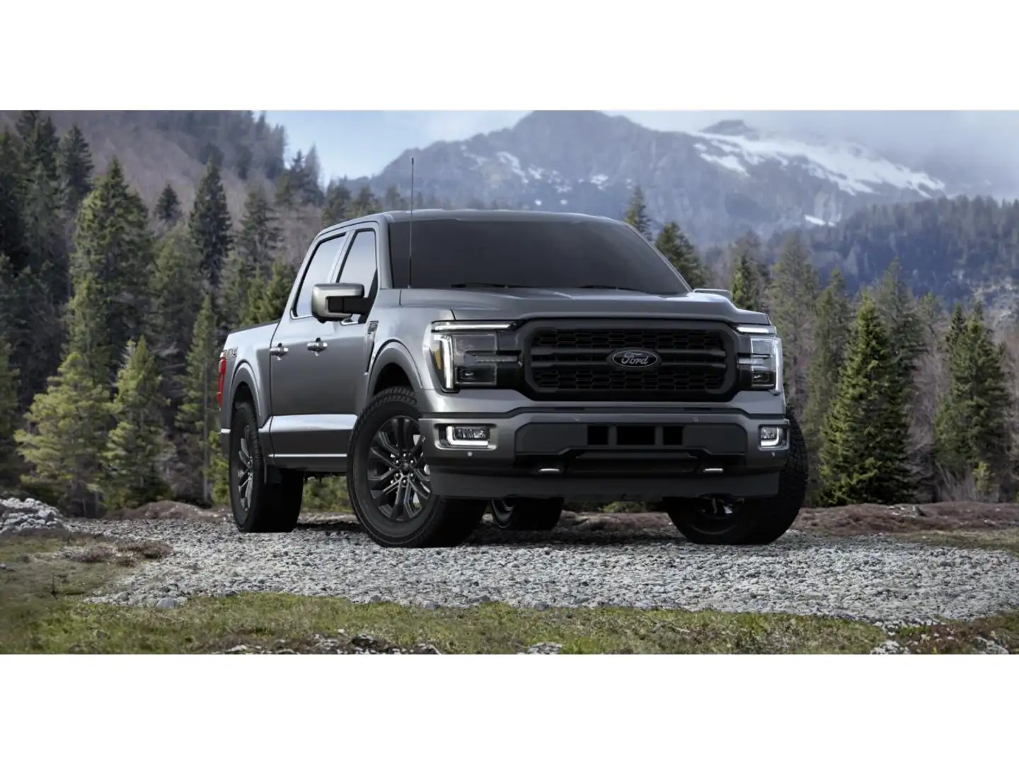 Ford F 150 Supercrew Lariat Black Package siva - 2