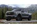 Ford F 150 Supercrew Lariat Black Package Grey - thumbnail 1