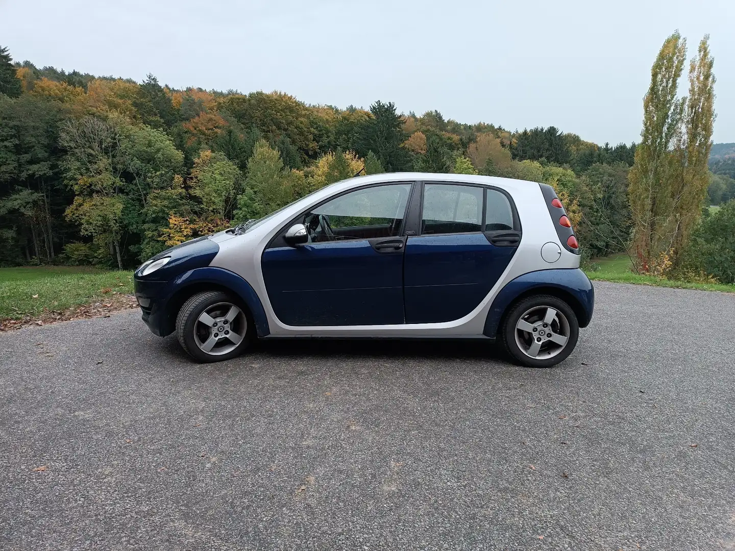 smart forFour Passion Blau - 1