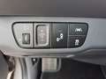 Hyundai IONIQ Ioniq Elektro 38kWh Level 6 Aut. Grau - thumbnail 15