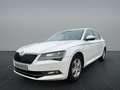 Skoda Superb Limo *LED*BI-XENON*Navi* Fehér - thumbnail 1