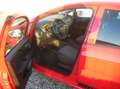 Fiat Punto 1.2 - Klima - PDC -  Tüv 4/2027 ... Rot - thumbnail 5