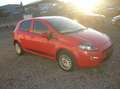 Fiat Punto 1.2 - Klima - PDC -  Tüv 4/2027 ... Rot - thumbnail 3