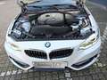 BMW 218 i Cabrio Sport Line Leder Bi-Xenon Navi PDC Weiß - thumbnail 20