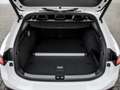 Volkswagen Passat Variant R-Line 2.0 TDI DSG AHK Standhzg. AreaView Keyless Weiß - thumbnail 14