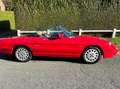 Alfa Romeo Spider Serie IV Rouge - thumbnail 7