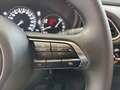 Mazda CX-30 Homura 2.5i VOLL LED+KAMERA+HEAD UP+SITZHZG Beige - thumbnail 17