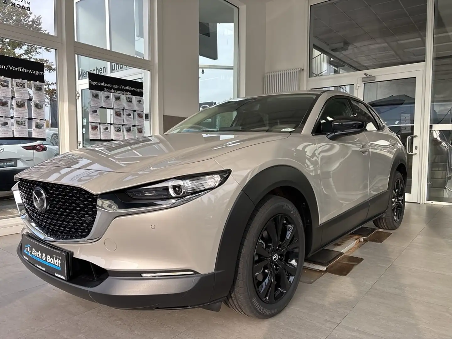 Mazda CX-30 Homura 2.5i VOLL LED+KAMERA+HEAD UP+SITZHZG Beige - 2