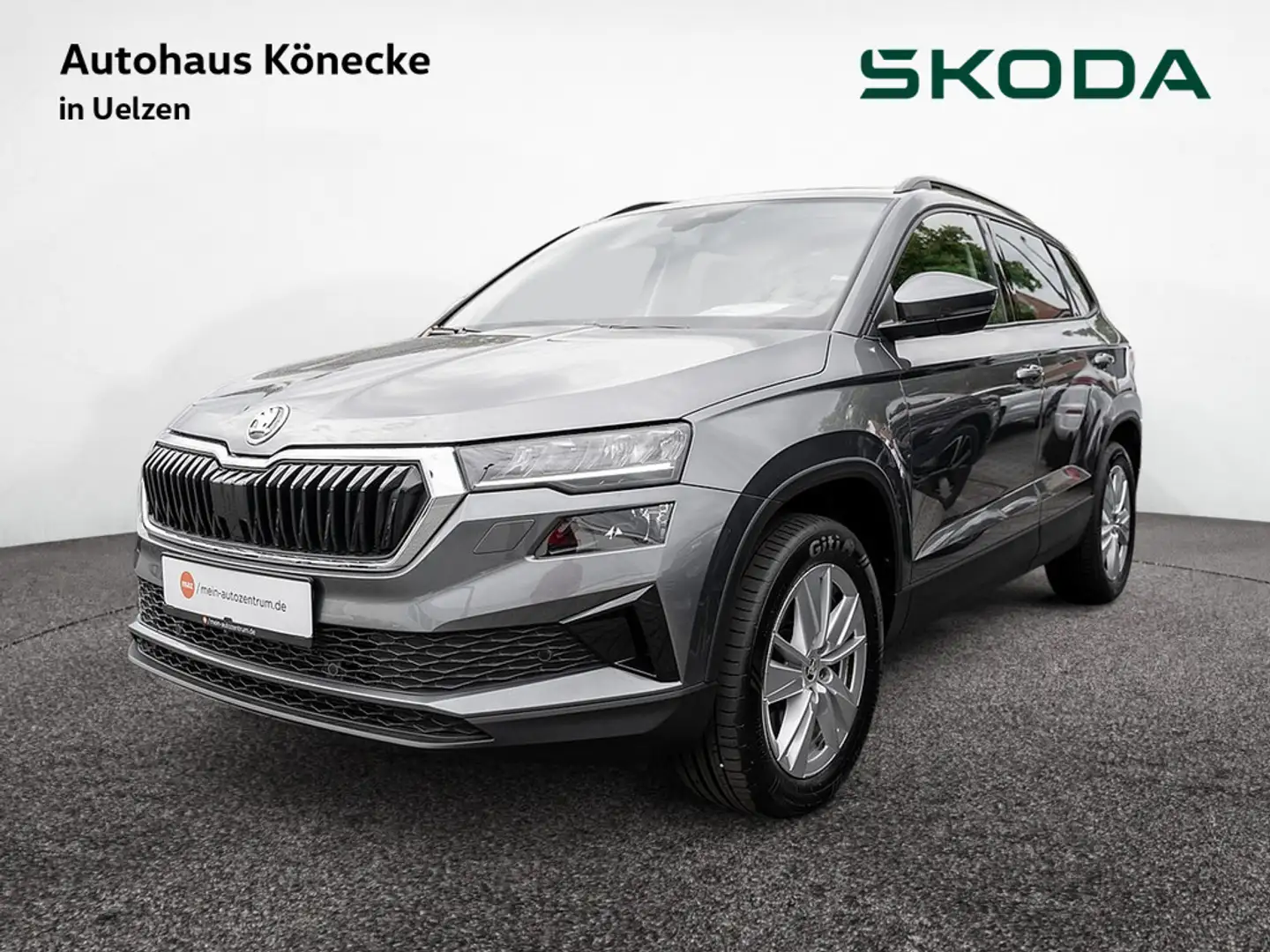 Skoda Karoq 2.0 TDI Drive 4x4 DSG ACC Navi Kessy Grau - 1