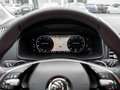Skoda Karoq 2.0 TDI Drive 4x4 DSG ACC Navi Kessy Grau - thumbnail 11