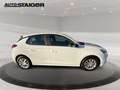 Opel Corsa F 1.2 Edition SHZ+Kam.+PDC+SpurH... Blanc - thumbnail 6