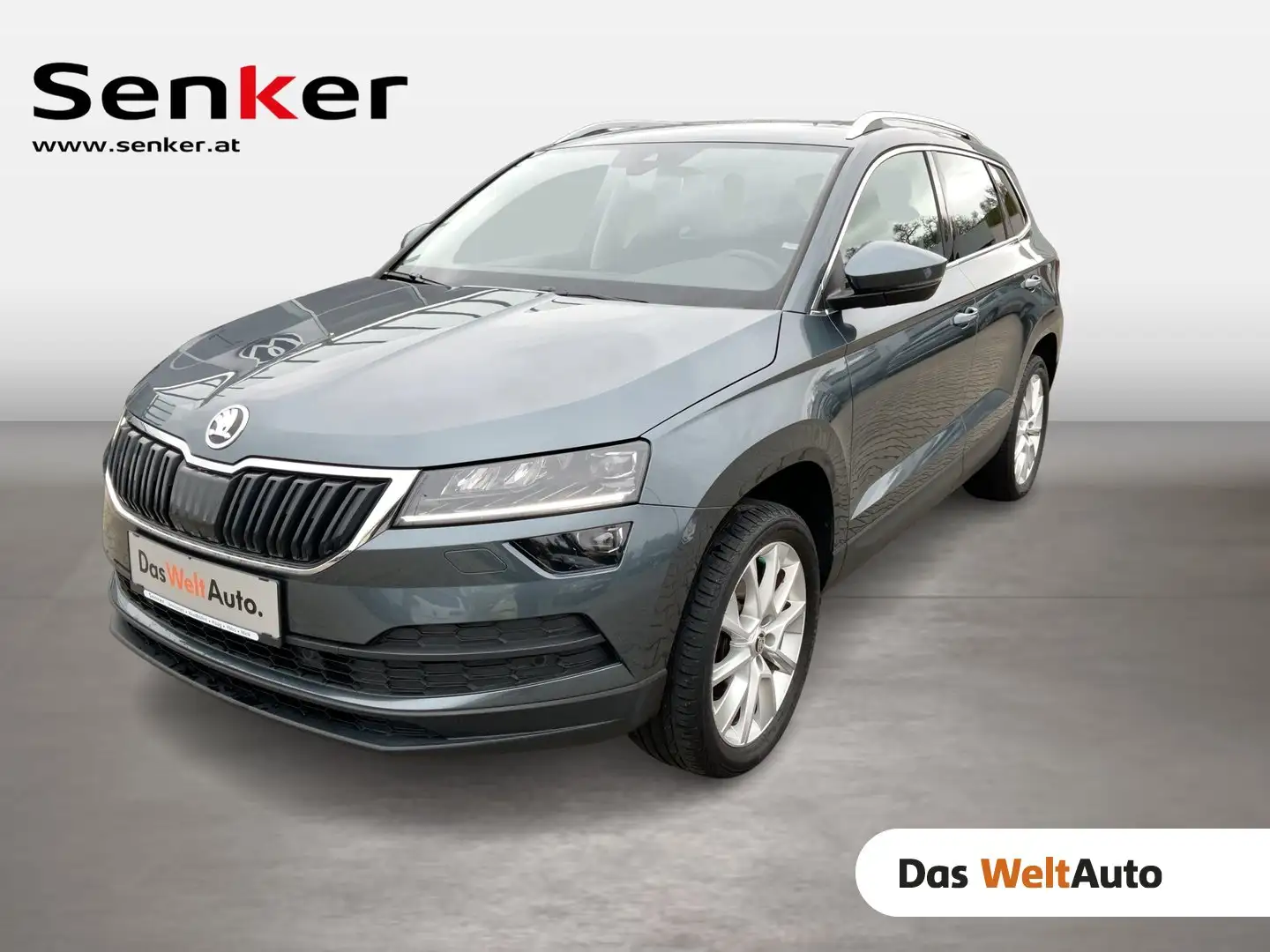 Skoda Karoq 4x4 Style TDI Grau - 1