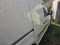 Volkswagen Caddy Erdgas (cng)/Benzin Weiß - thumbnail 13
