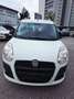 Fiat Doblo Dynamic 5 Sitzer Weiß - thumbnail 5