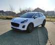 Ford Puma 1.0 EcoBoost Hybrid TITANIUM Blanco - thumbnail 3