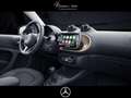 smart forTwo EQ  cabrio +SHZ+AMBIENTE+KAMERA+LED Bej - thumbnail 14