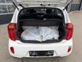 Kia Picanto Edition 7 LPG Gasanlage Weiß - thumbnail 9