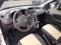 Fiat Panda 1.2 TÜV NEU Weiß - thumbnail 10