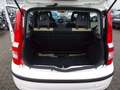 Fiat Panda 1.2 TÜV NEU Weiß - thumbnail 8
