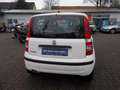 Fiat Panda 1.2 TÜV NEU Weiß - thumbnail 5
