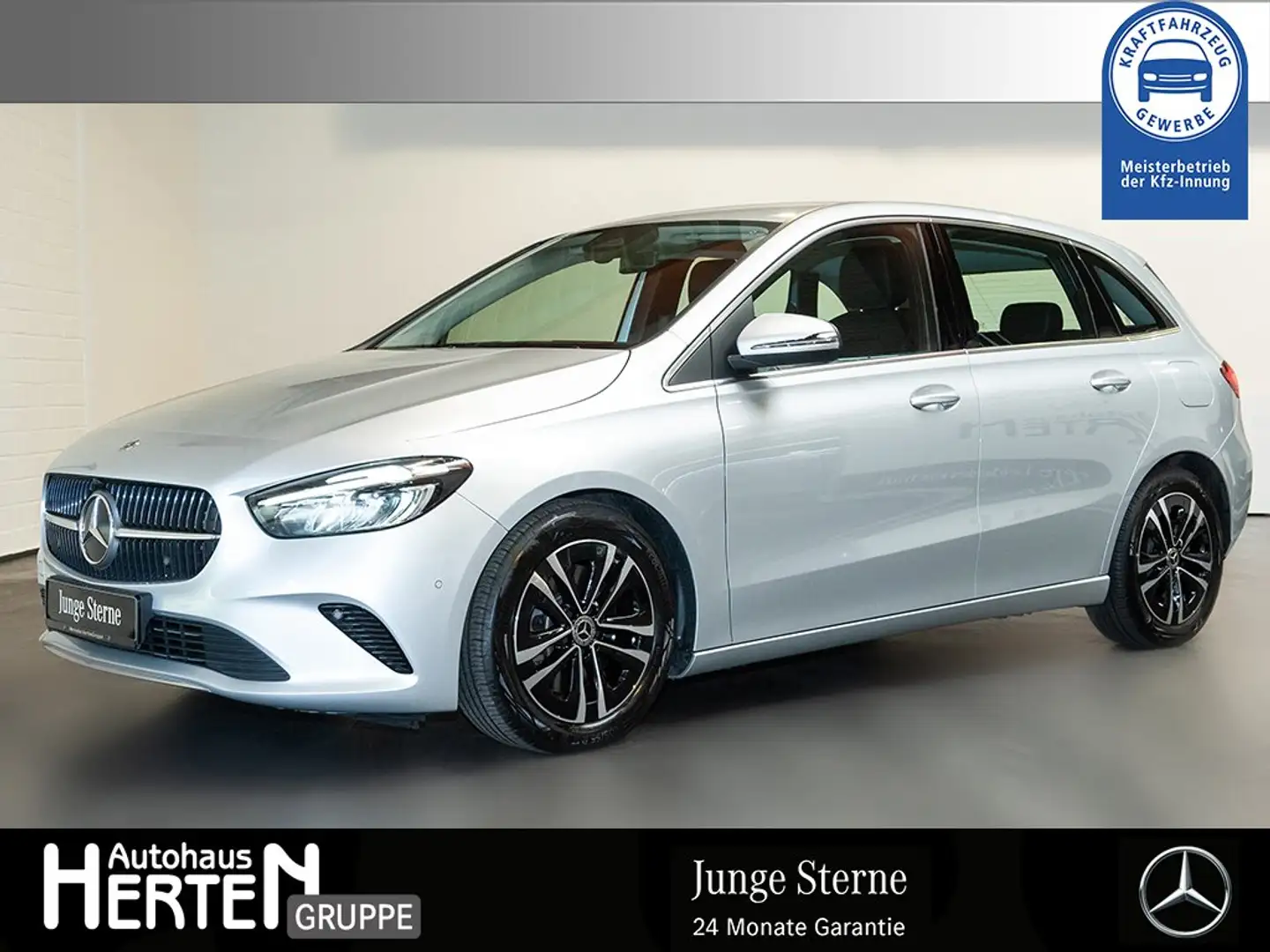 Mercedes-Benz B 250 4M Progressive+Kamera+Easy-P.-Heckklappe Silber - 1