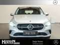 Mercedes-Benz B 250 4M Progressive+Kamera+Easy-P.-Heckklappe Silber - thumbnail 2