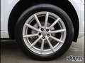Audi Q5 QUATTRO 2.0 TDI S TRONIC (+EURO6) Bluetooth Weiß - thumbnail 17