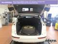 Audi Q5 QUATTRO 2.0 TDI S TRONIC (+EURO6) Bluetooth Bianco - thumbnail 5