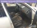 Audi Q5 QUATTRO 2.0 TDI S TRONIC (+EURO6) Bluetooth Bianco - thumbnail 4