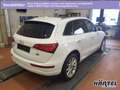 Audi Q5 QUATTRO 2.0 TDI S TRONIC (+EURO6) Bluetooth Bianco - thumbnail 3