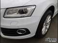 Audi Q5 QUATTRO 2.0 TDI S TRONIC (+EURO6) Bluetooth Weiß - thumbnail 4