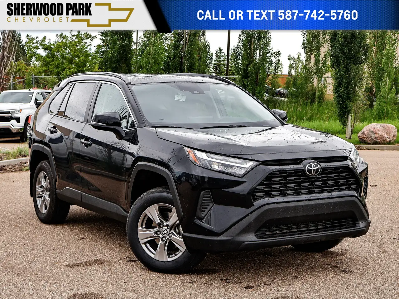 2024 Toyota RAV 4