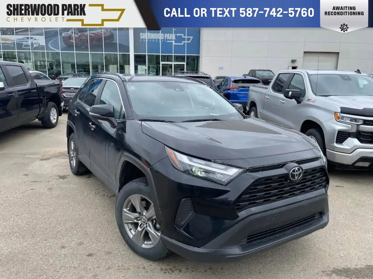 2024 Toyota RAV 4