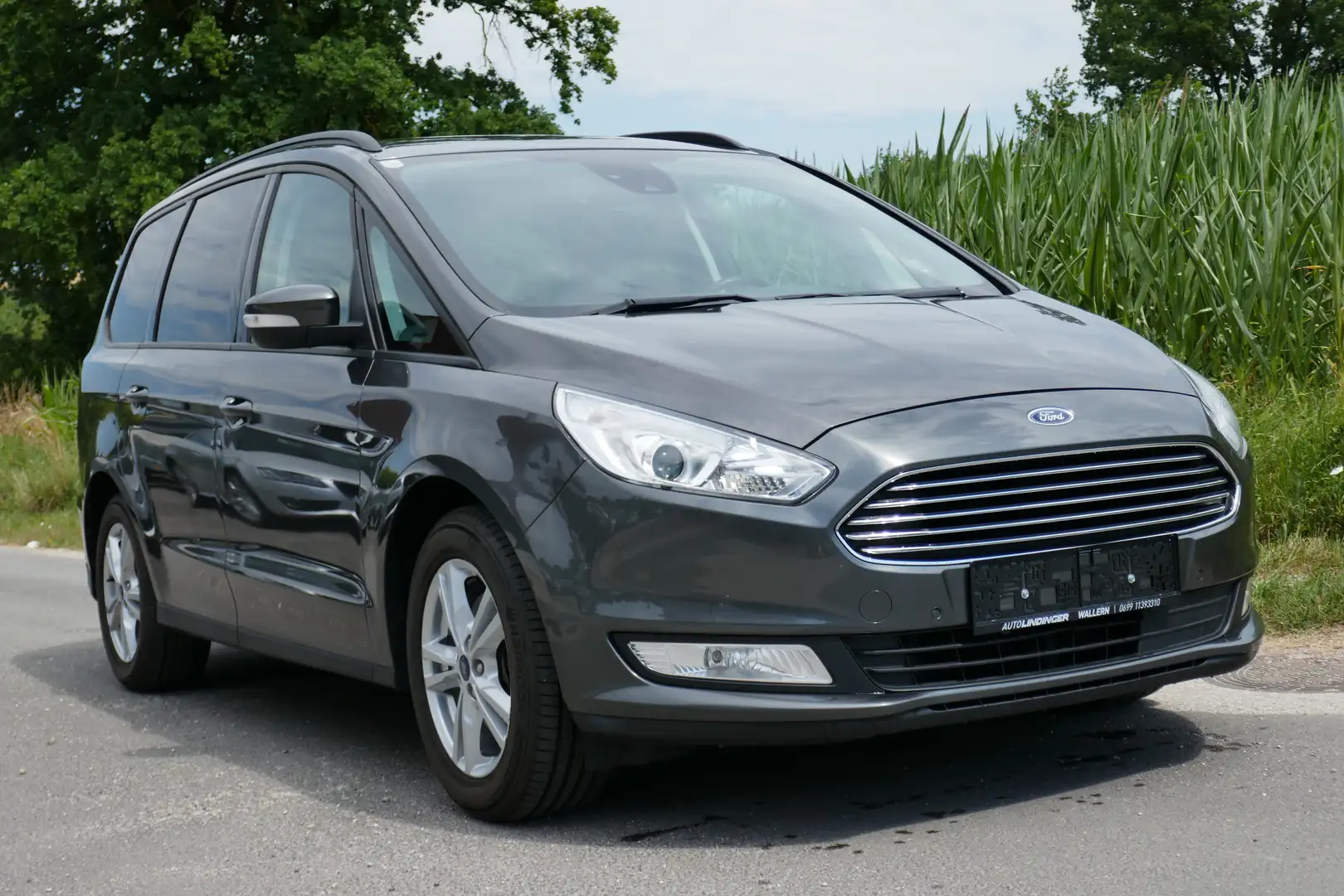 Ford Galaxy Business Grau - 2