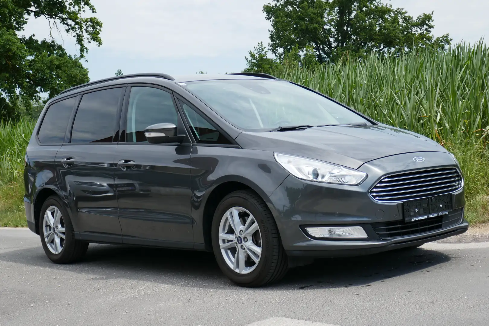 Ford Galaxy Business Grau - 1
