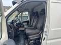 Fiat Ducato 35 L5H2 1 Maxi Grossraum*NAVI*AHK*STHZG* Blanc - thumbnail 13