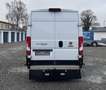 Fiat Ducato 35 L5H2 1 Maxi Grossraum*NAVI*AHK*STHZG* Blanc - thumbnail 6