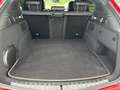 Alfa Romeo Stelvio Quadrifoglio 2.9 V6 Biturbo 525 Q4 Rot - thumbnail 13