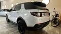 Land Rover Discovery Sport 2.0 SD4 240 CV AWD Auto HSE-SETTE POSTI-20" Weiß - thumbnail 4