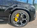 Lamborghini Urus - thumbnail 2