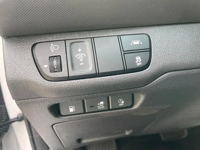Hyundai Ioniq view 15