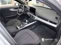 Audi A4 Avant 35 TFSI S line Einparkhilfe+Sitzhzg+Privacy Gris - thumbnail 8