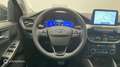 Ford Kuga KUGA 2.0 ECOBLUE 120CV BVA 4x4 TITANIUM X - thumbnail 10