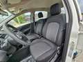 Fiat Punto 1.3 MJT 95CV 5 porte Van Easy 4 posti E6 Blanc - thumbnail 11