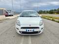 Fiat Punto 1.3 MJT 95CV 5 porte Van Easy 4 posti E6 Blanc - thumbnail 2