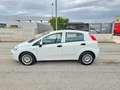Fiat Punto 1.3 MJT 95CV 5 porte Van Easy 4 posti E6 Blanc - thumbnail 10